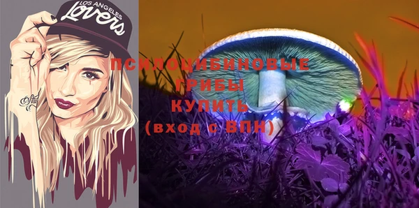 mdpv Богданович