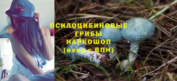 mdpv Богданович
