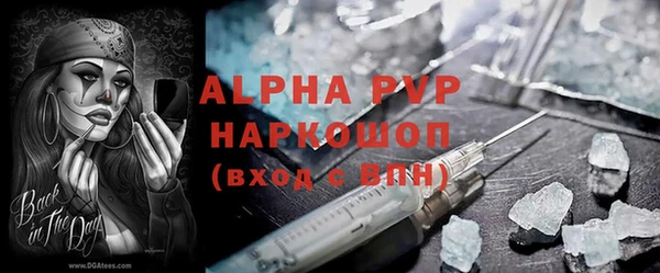 стафф Бородино